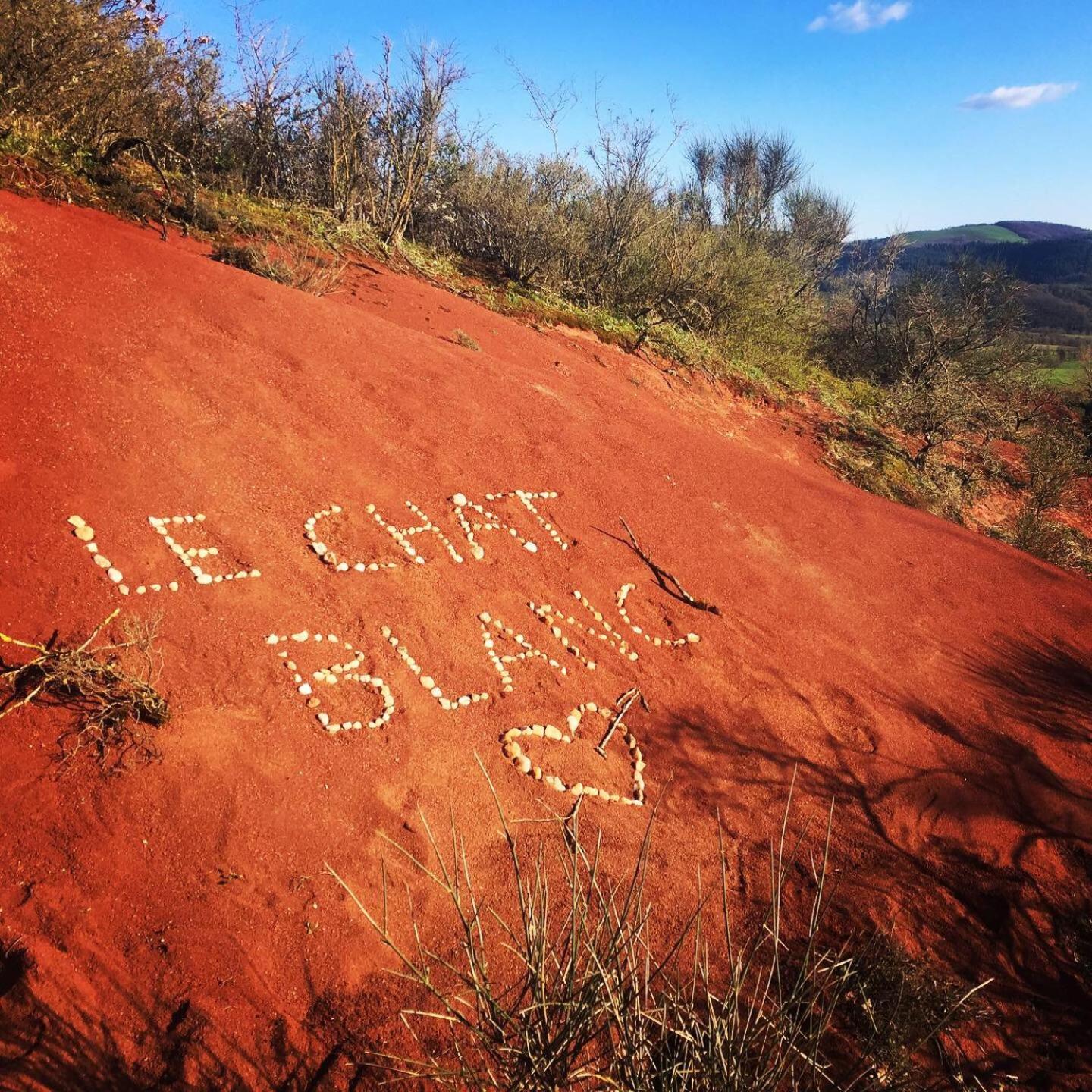 Le Chat Blanc Versols-et-Lapeyre Экстерьер фото
